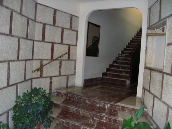 Chiara Stella image 10