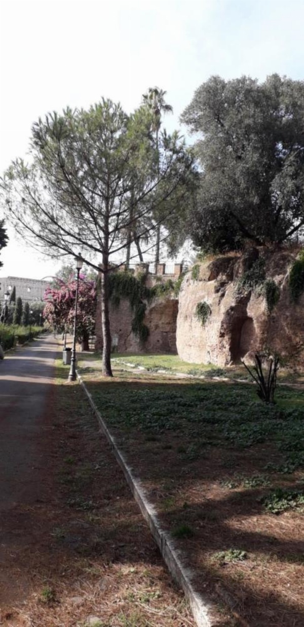 Chiara Stella image 14