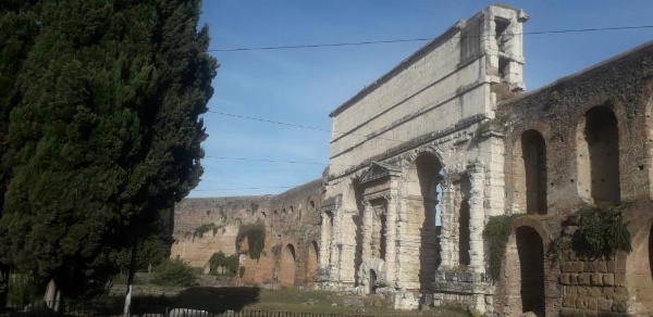 Chiara Stella image 16