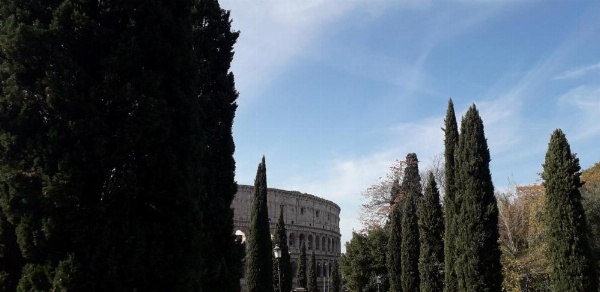 Chiara Stella image 17