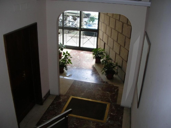 Chiara Stella image 8